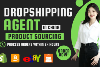 be your shopify ebay amazon store dropshipping agent