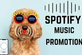 do organic spotify algorithmic on music playlist 900 curators