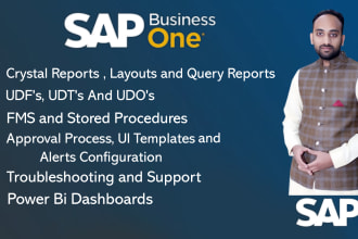 provide sap business one, sap b1, crystal report, ms sql server query support