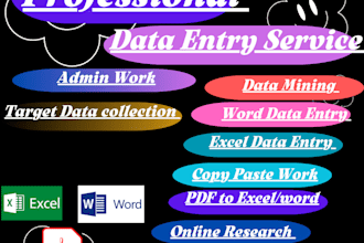 professional data entry work