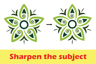 redesign,change font, change color, vectorize logo