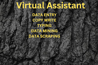 be your data entry specialist