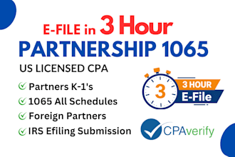 prepare and efile partnership tax return form 1065 in 3 hours