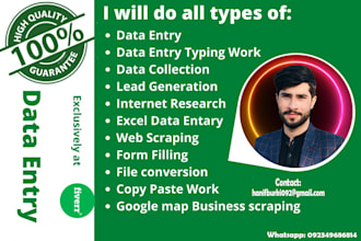 do data entry in ms word and excel copy past pfd conversion