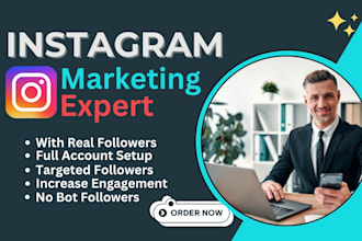 instagram promotion expert boosting your visibility