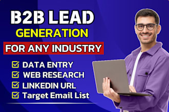 do b2b lead generation, data entry, web research and niche targeted email list