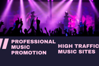 provide professional music promotion package