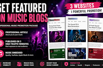 provide professional music promotion package