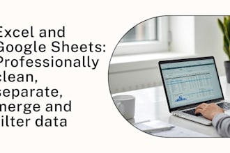 professionally clean, separate, merge and filter excel data