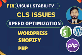 fix cls, lcp, inp issues of core web vitals for shopify, wordpress, PHP