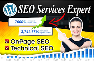 professional wordpress SEO with complete on page  optimiz