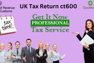 be UK accountant for hmrc UK tax return ct600 or UK company accounts