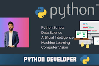 solve python programming assignments