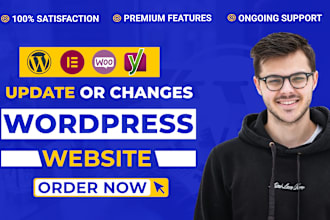 make changes, modify, update, edit wordpress website