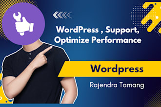 fix your wordpress website, provide support, and optimize performance