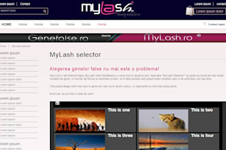 redesign or customize website for business