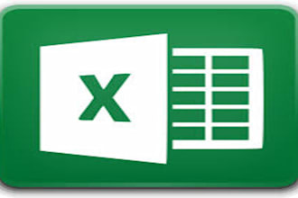 do ms exel data entry and writing and translation