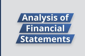 prepare financial forecasts and financial statements