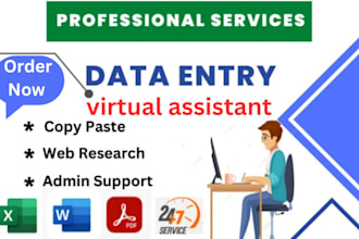 do fast data entry and fast admin support, web research
