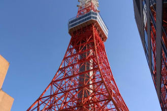 accompany you on trip in tokyo, japan