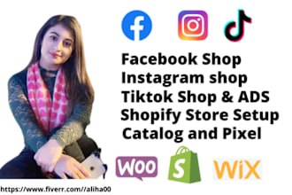 setup tiktok facebook instagram shop page tik tok ads and integrate with shopify