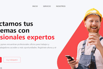 your frontend web programmer, react js javascript, python