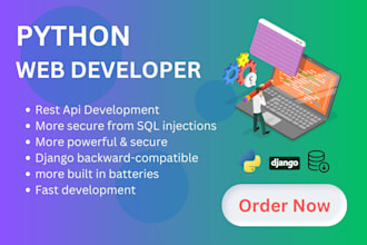 develop your web app using django python
