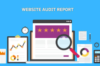 provide a professional website audit report