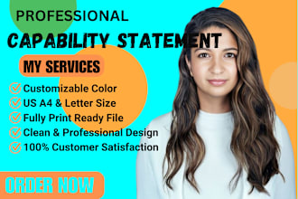 design professional government capability statement, vision statement