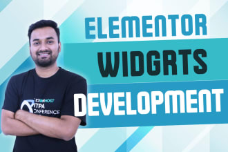 develop elementor custom widgets or custom addon
