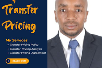 undertake transfer pricing, documentation and analysis