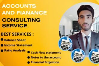 prepare balance sheet,profit and loss and cash flow