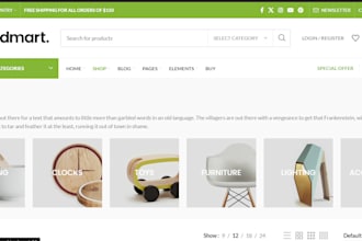 setup an ecommerce store of your brand with payment gateway
