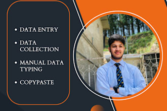 do data entry work and data collection