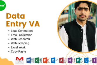 do data entry VA, email collection, lead generation and web research