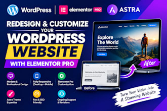 professionally redesign your wordpress website