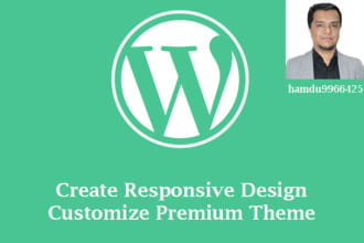 do customization any wordpress site or theme