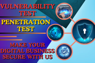 conduct vulnerability assessment and penetration test to ensure website security