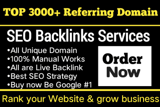 do 3000 referring domain SEO backlinks for google ranking