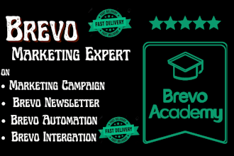 setup brevo marketing automation campaign deliverability, brevo newsletter