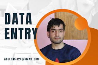 help you with data entry in fast, accurate and reliable way