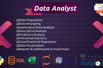 do professional data analytics projects using python, r, ml, sql, excel etc