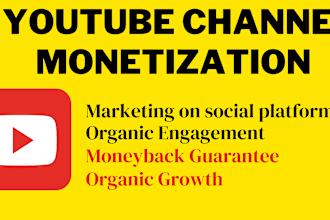 do organic youtube video or channel promotion for monetization