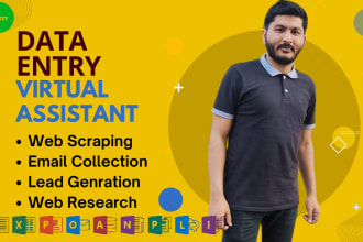 do data entry VA, lead generation, pdf to excel and email collection