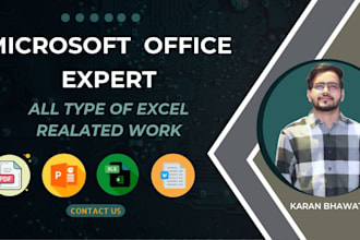 provide professional microsoft excel services