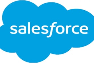 provide consultancy, administration and development in salesforce