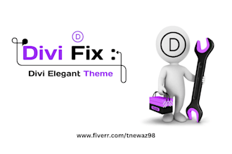 fix wordpress divi issues,errors,bugs for you