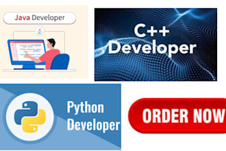 be your programmer in c cpp and java with proficiency