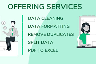 clean and format your excel data in 24 hours 6 years exp