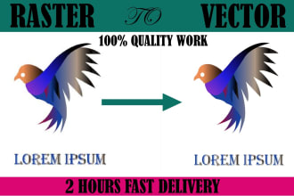 remake, redo, recreate, resize, edit logo jpg,png to vector